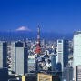 Commodity Trends: Japan tsunami hits soybean, rubber hard